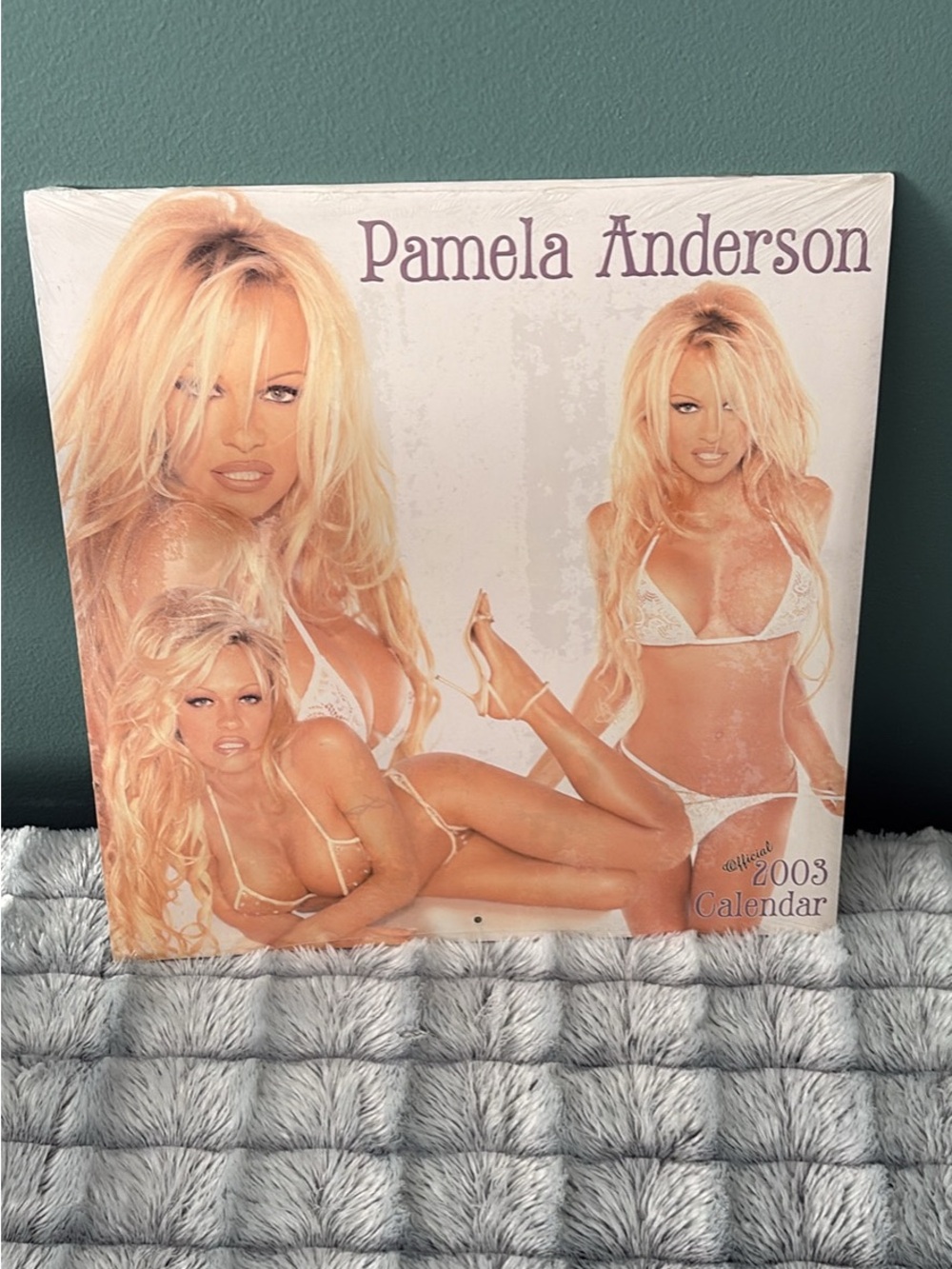 Vintage 2003 Pamela Anderson Pin Up Calendar New Sealed